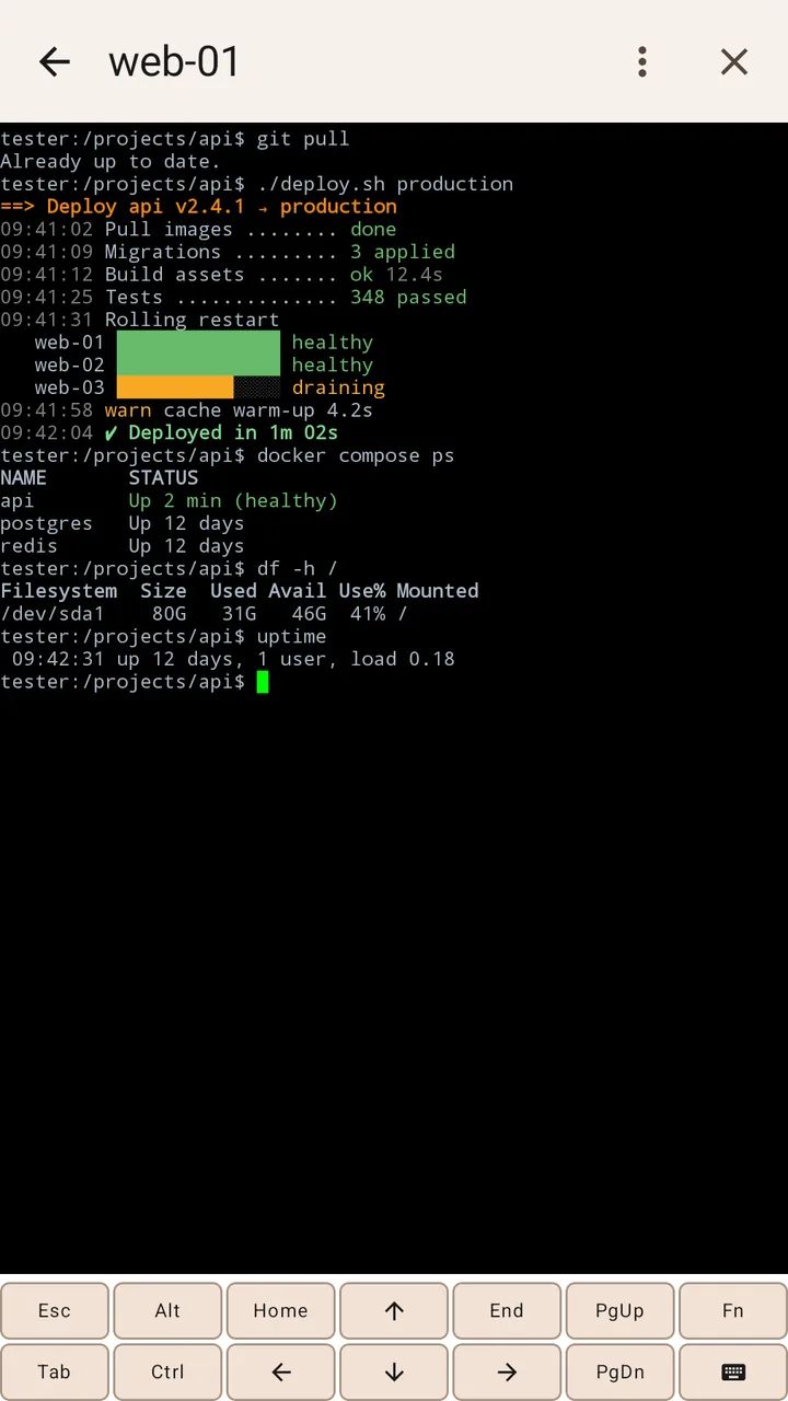 SSHPeaches connected to a server called web-01, showing a deploy log above the Esc, Alt, Ctrl, Fn and arrow keys